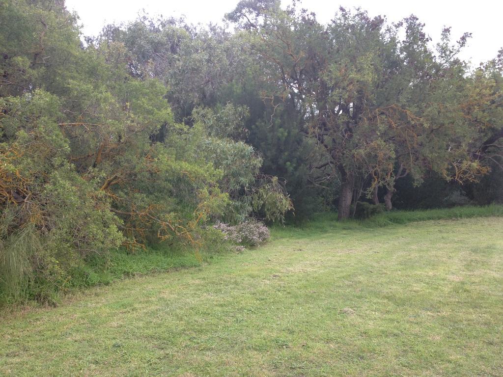 Готель Millicent Lakeside Caravan Park Екстер'єр фото
